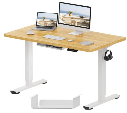 flexispot standing desk for work from home