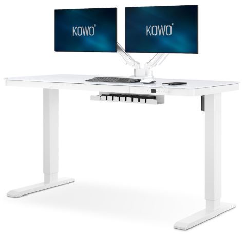 kowo g2 vetra sit stand desk with cable management