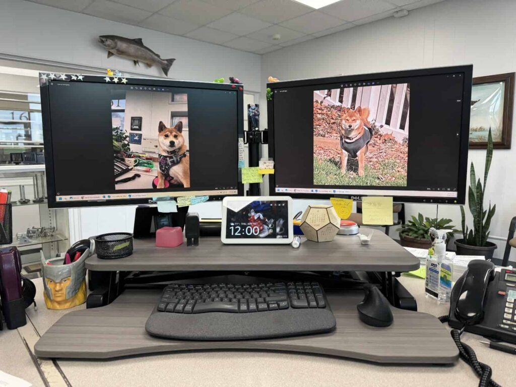 view of our own purchase testing riser m2 standing desk converter with dual monitor mount our unboxing package arrival several weeks to months