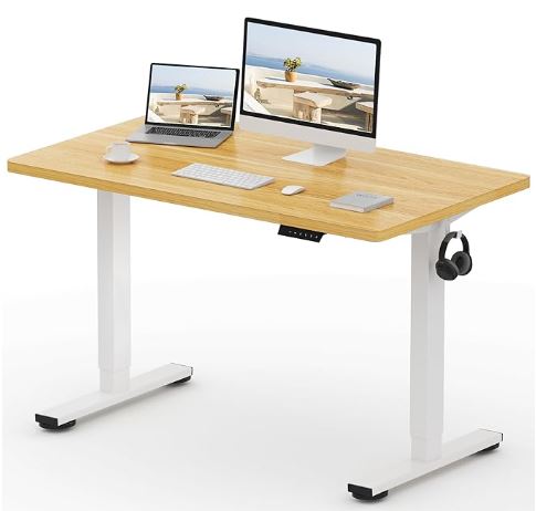flexispot e1 (reliable and well regarded) budget standing desk uk